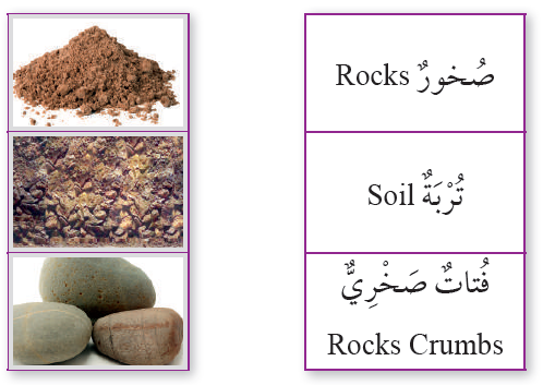 العلوم للصف الثاني